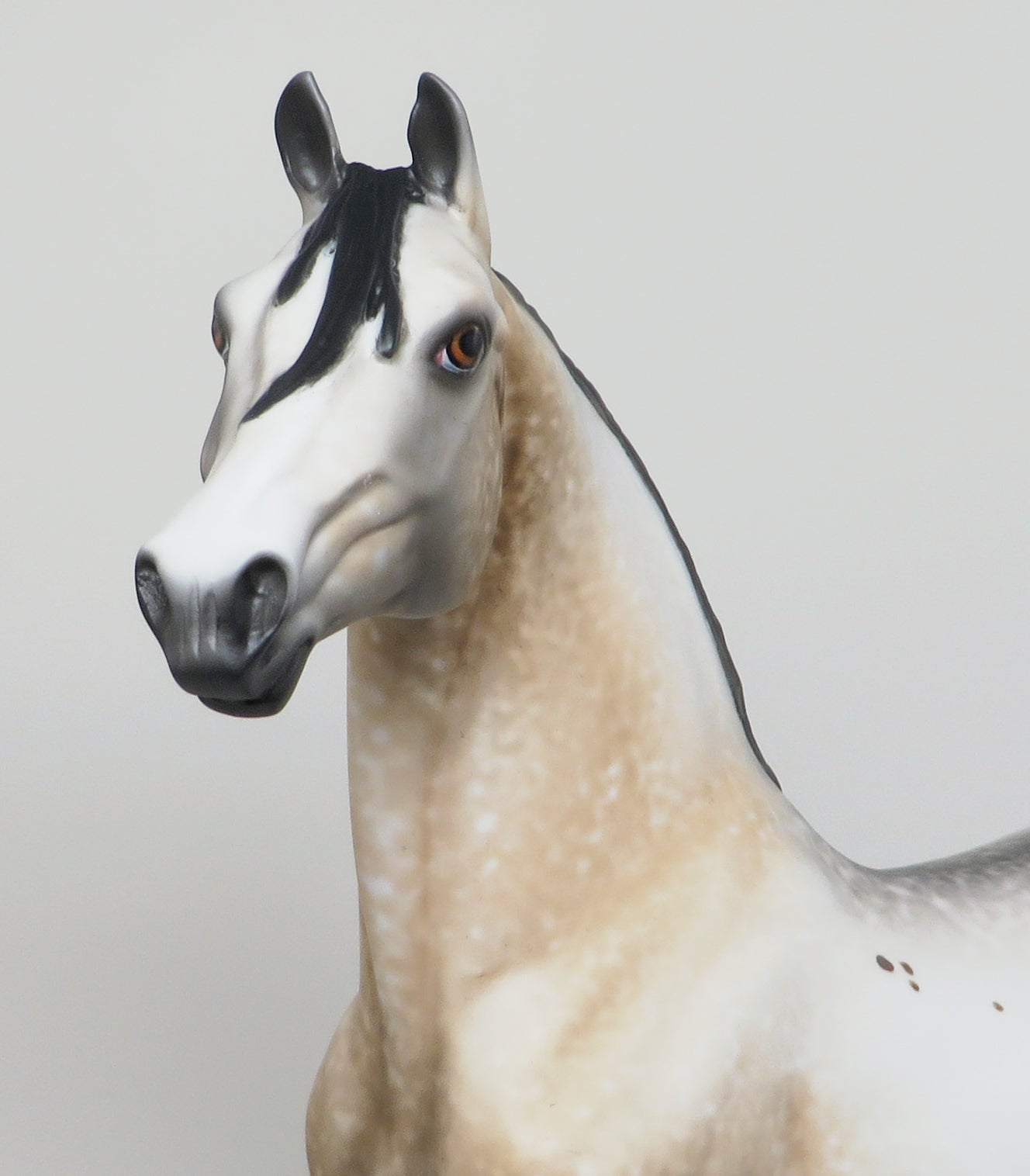 NO DOUBT - BUCKSKIN APPALOOSA MORGAN MODEL HORSE by AL - 1/15