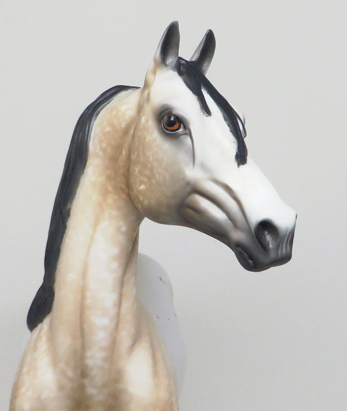 NO DOUBT - BUCKSKIN APPALOOSA MORGAN MODEL HORSE by AL - 1/15