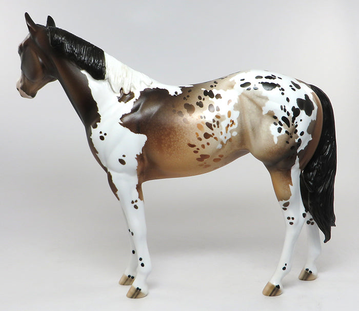 AUSSIE-OOAK BAY PINTALOOSA ISH MODEL HORSE 7/14