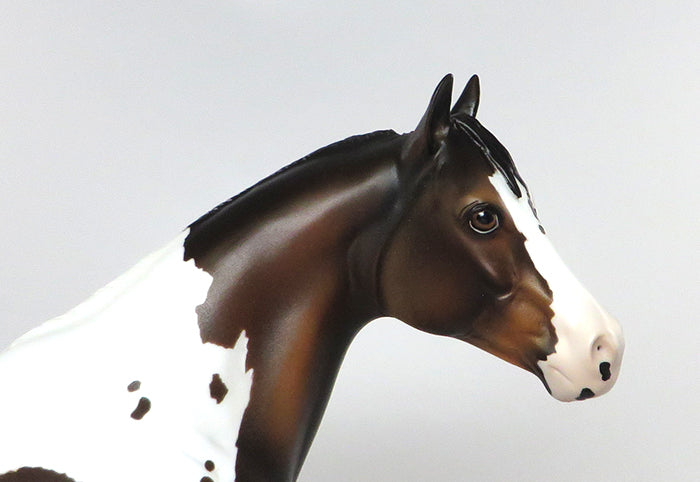 AUSSIE-OOAK BAY PINTALOOSA ISH MODEL HORSE 7/14