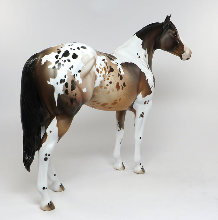 AUSSIE-OOAK BAY PINTALOOSA ISH MODEL HORSE 7/14