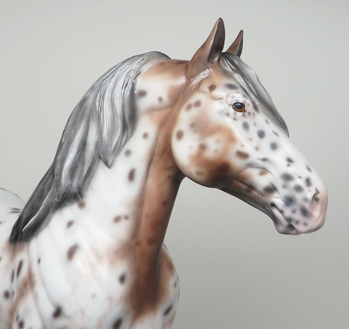 KID ROCK - OOAK BAY APPALOOSA STANDING DRAFTER MODEL HORSE by SHERYL LEISURE - 1/27