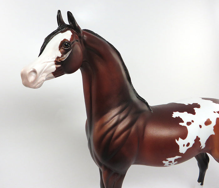 POALO-OOAK BAY PAINT ARABIAN MODEL HORSE 7/15