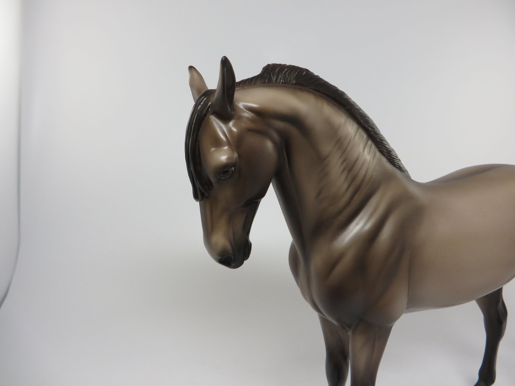 ATREYU-OOAK GRULLA LONG MANE ANDALUSIAN BY SHERYL LEISURE 7/15