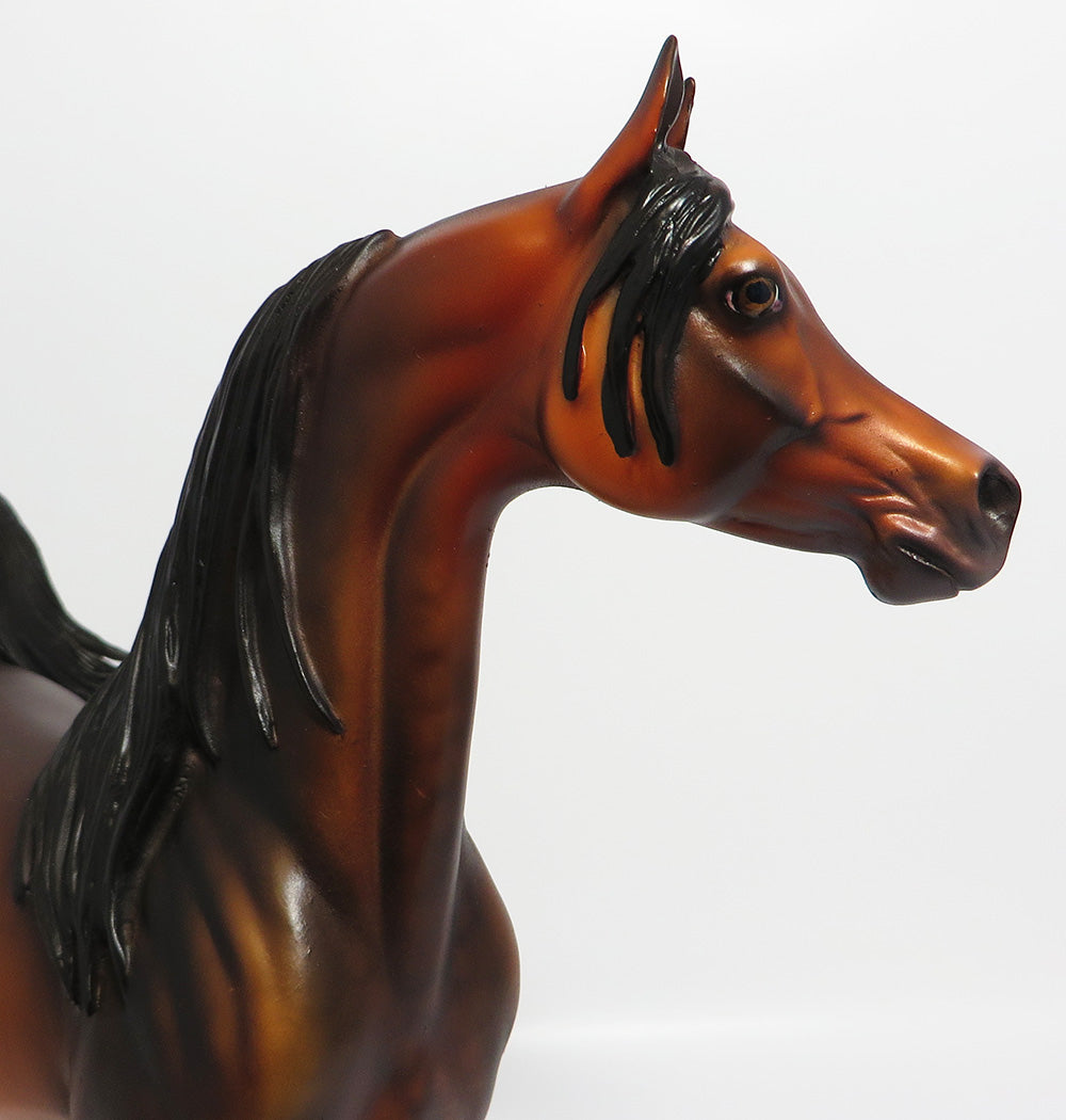 Long Mane & Forelock