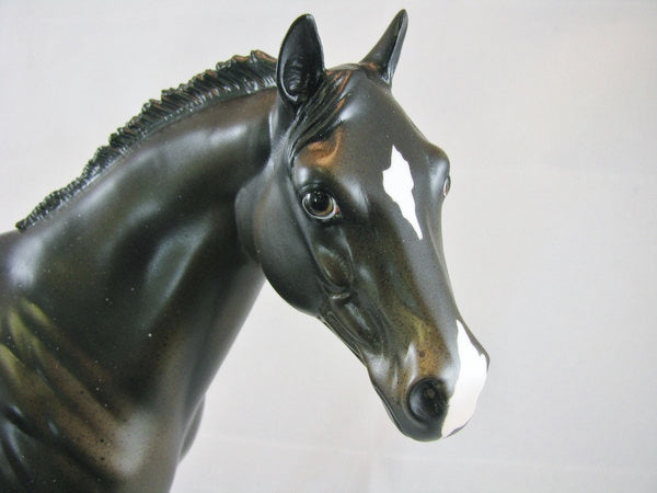 FLANNEL PJ'S - Custom Stock Horse Appaloosa