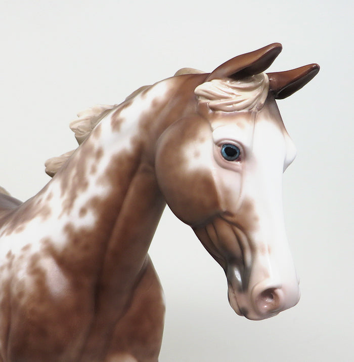 BLAZER - OOAK CHESTNUT SABINO PALOUSE MODEL HORSE by SHERYL LEISURE - 1/25