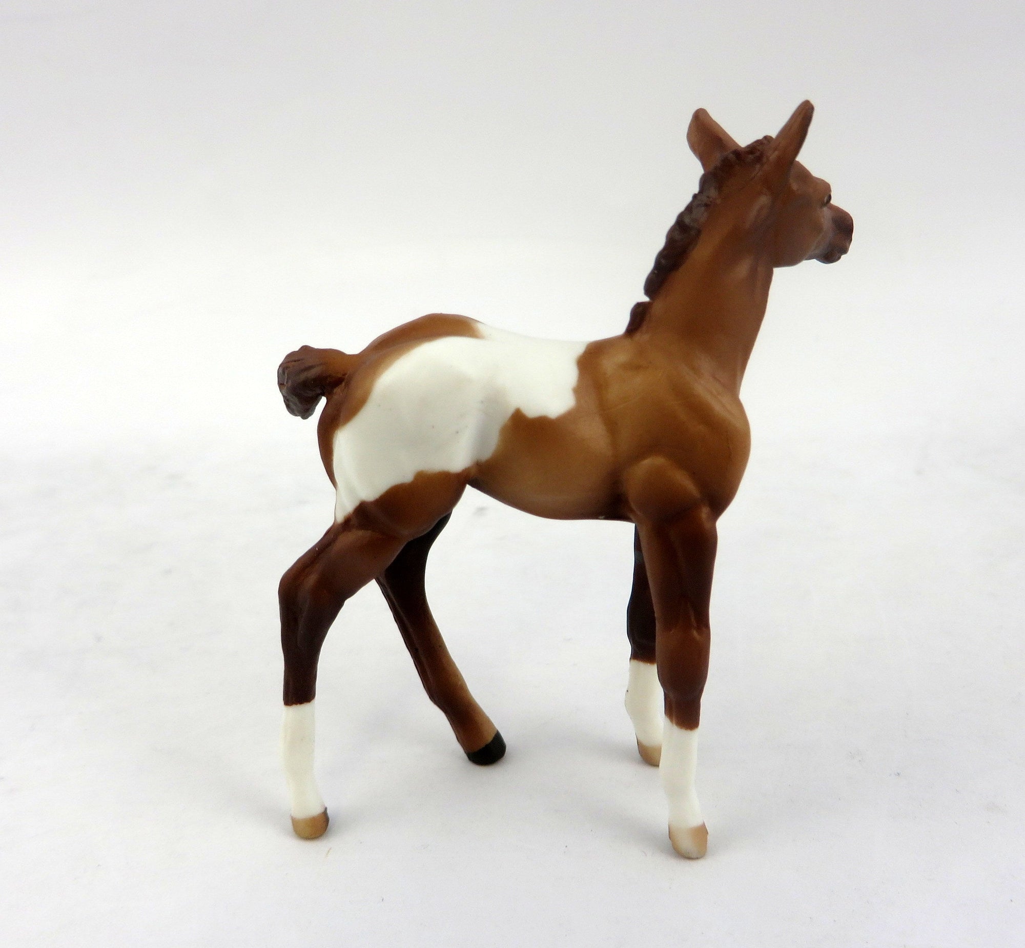 chip foal
