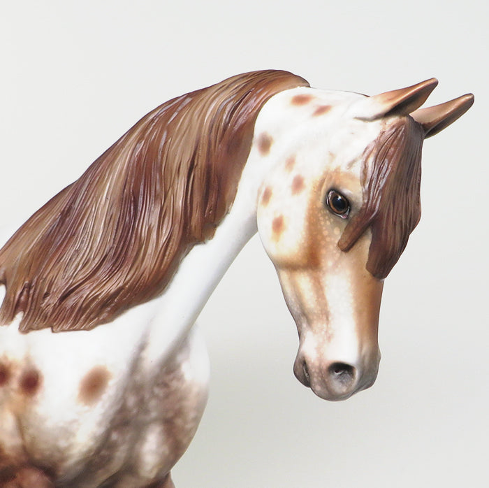 IM A RAP STAR - OOAK CHESTNUT APPALOOSA THOROUGHBRED MODEL HORSE by AL - 1/28