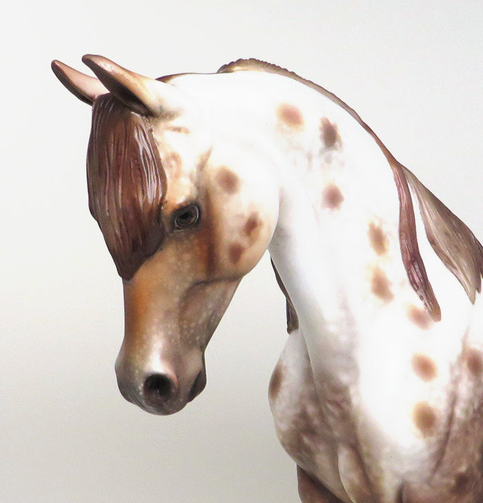 IM A RAP STAR - OOAK CHESTNUT APPALOOSA THOROUGHBRED MODEL HORSE by AL - 1/28