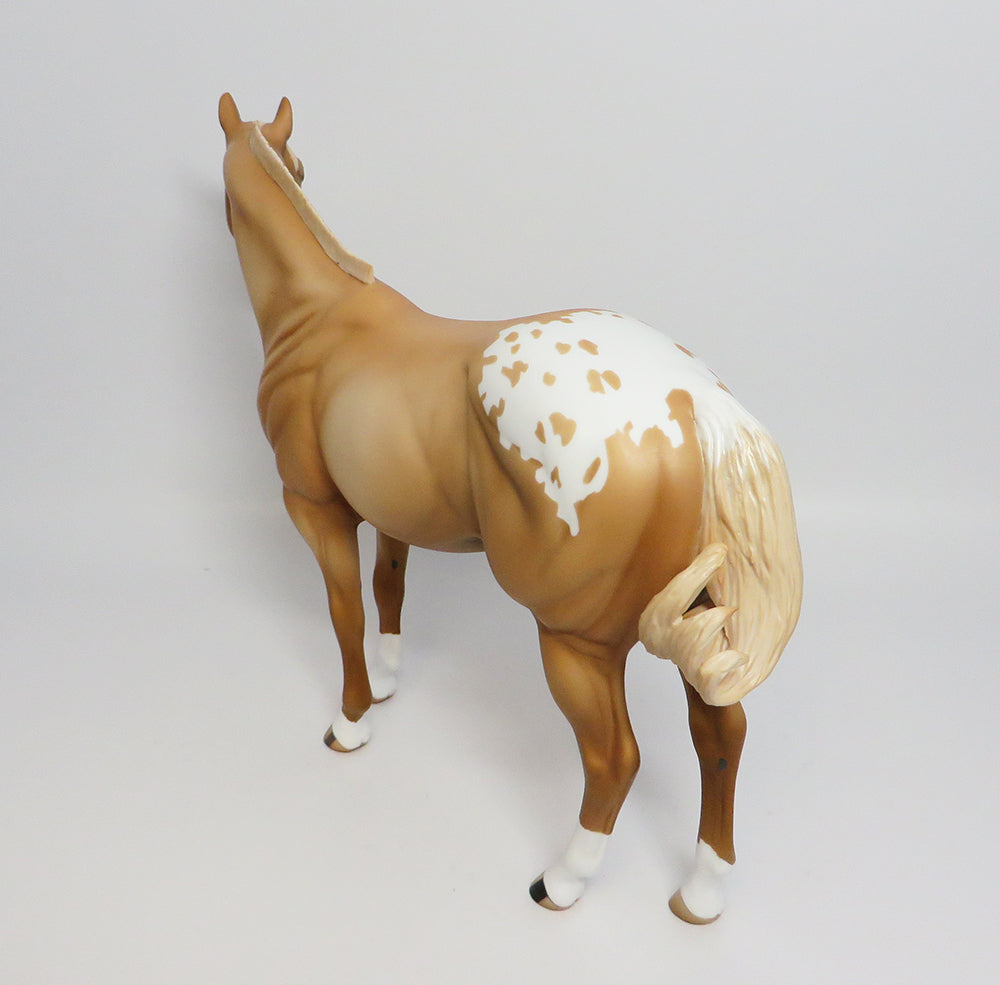 appaloosa