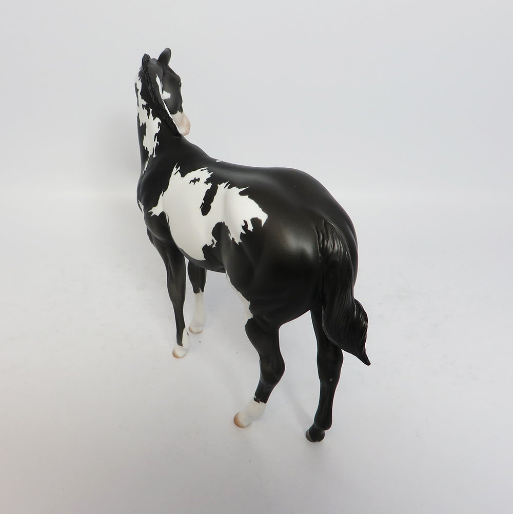 DARK CLOUD-OOAK PINTO WEANLING MODEL HORSE BY DAWN QUICK 12/12/17