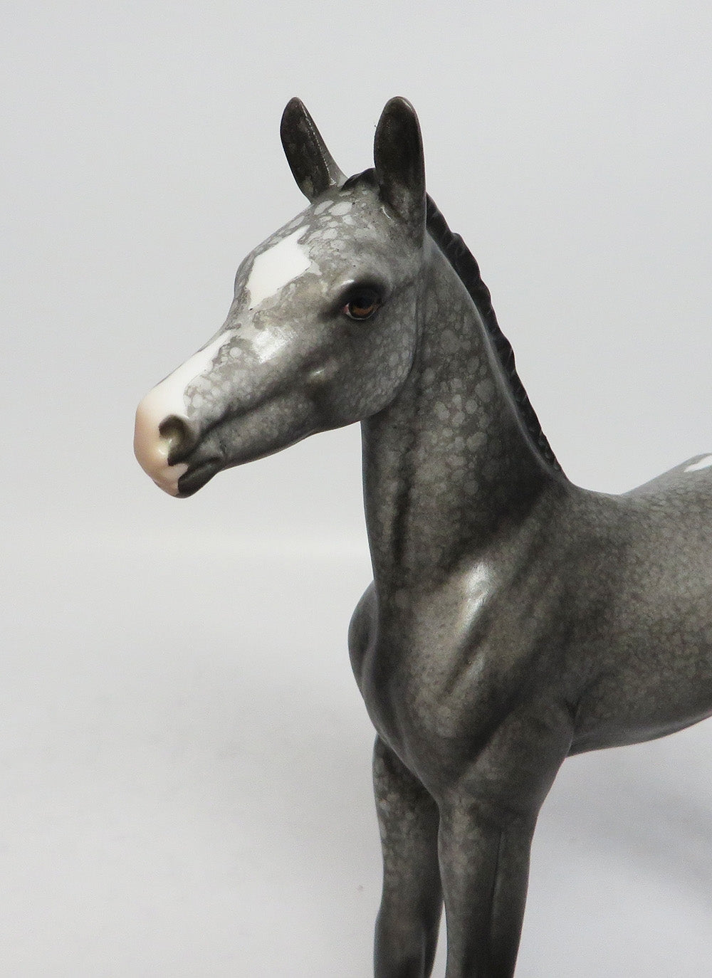 GREY BLIZZARD~OOAK APPALOOSA FOAL MODEL HORSE BY DAWN QUICK 12/12/17