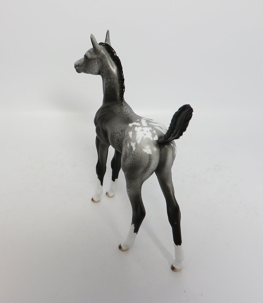 GREY BLIZZARD~OOAK APPALOOSA FOAL MODEL HORSE BY DAWN QUICK 12/12/17