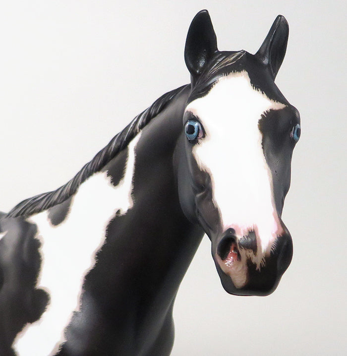 PAINT MODEL HORSE