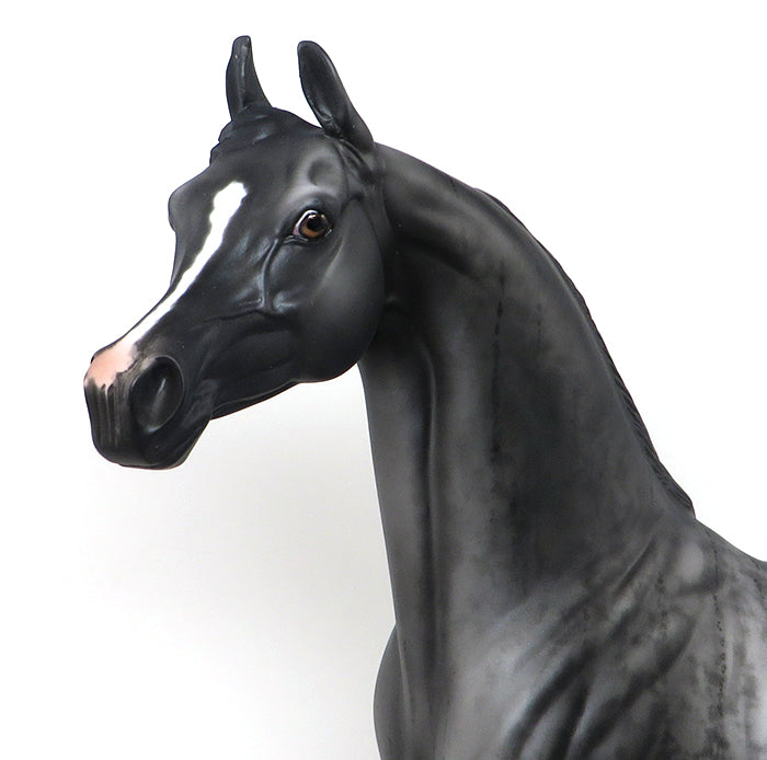 BLACK CLOUD-OOAK-BRIDLE ARABAIN MODEL HORSE 12/10