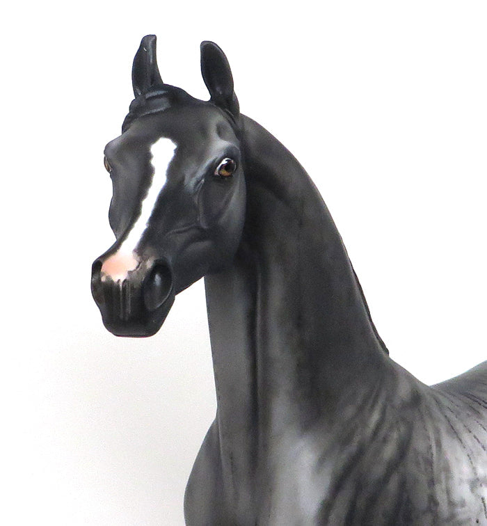 BLACK CLOUD-OOAK-BRIDLE ARABAIN MODEL HORSE 12/10