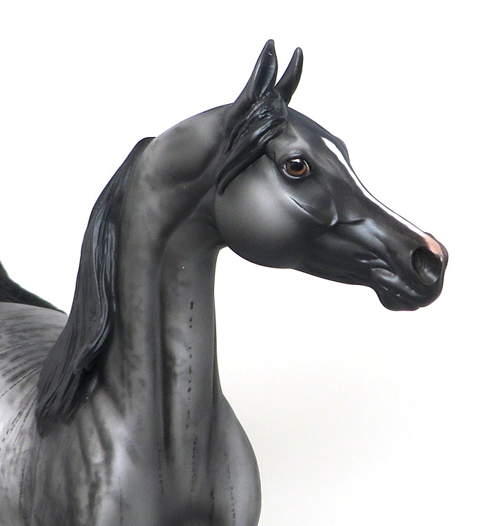 BLACK CLOUD-OOAK-BRIDLE ARABAIN MODEL HORSE 12/10
