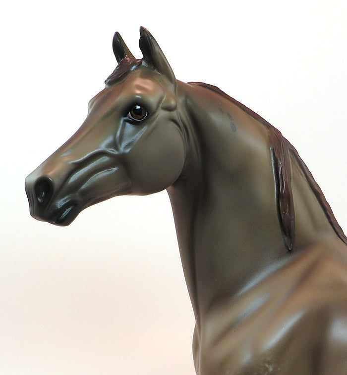 TAKING OVER - OOAK CHESTNUT APPALOOSA MORGAN MODEL HORSE - 2/5