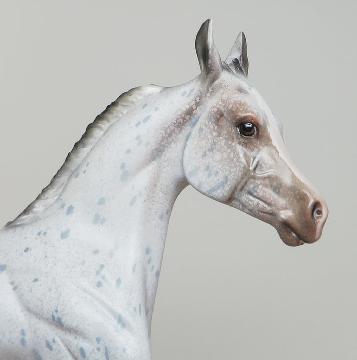 SNOW PRINCESS - OOAK APPALOOSA YEARLING MODEL HORSE by DAWN QUICK - 1/28