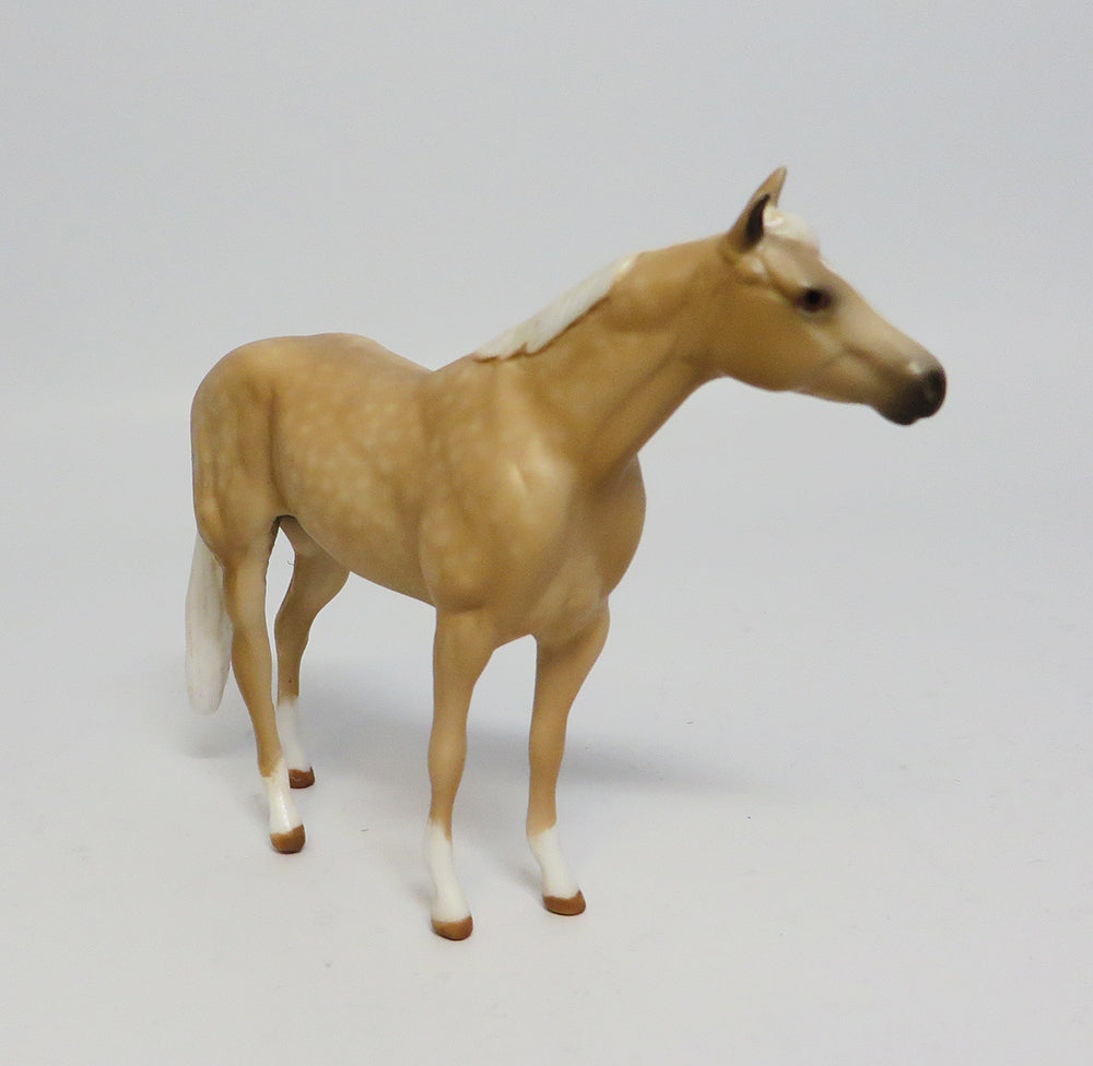 Palomino