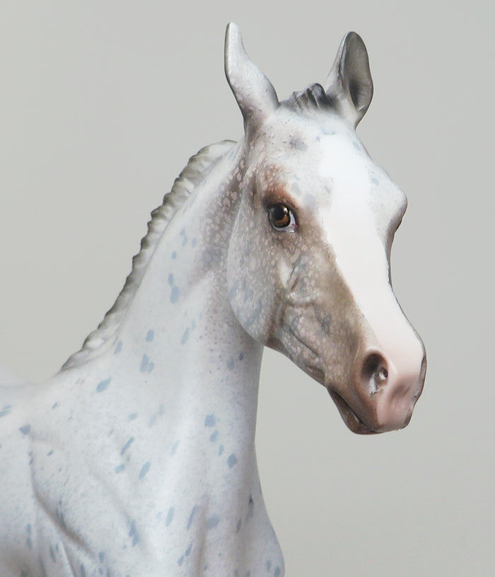 SNOW PRINCESS - OOAK APPALOOSA YEARLING MODEL HORSE by DAWN QUICK - 1/28