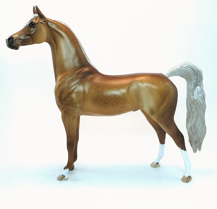 down payment palomino arabian
