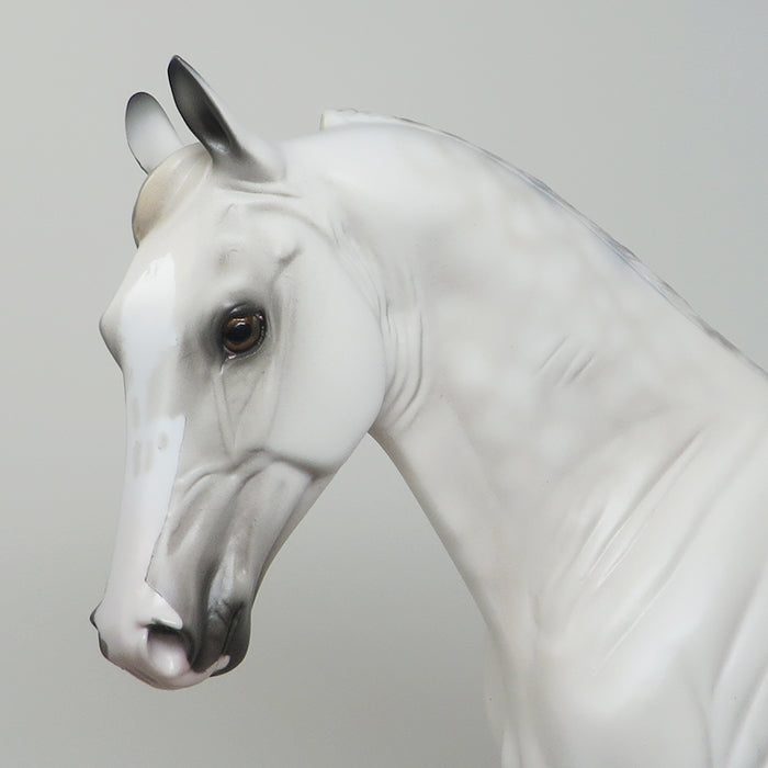 REEDUS - OOAK DAPPLE GREY TENNESSEE WALKER MODEL HORSE - 1/29