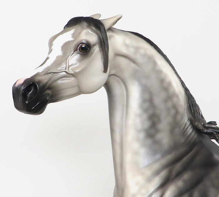TWO MILES FOR SISTER SARA - OOAK DAPPLE GREY ARABIAN MODEL HORSE by SHERYL LEISURE - 12/5