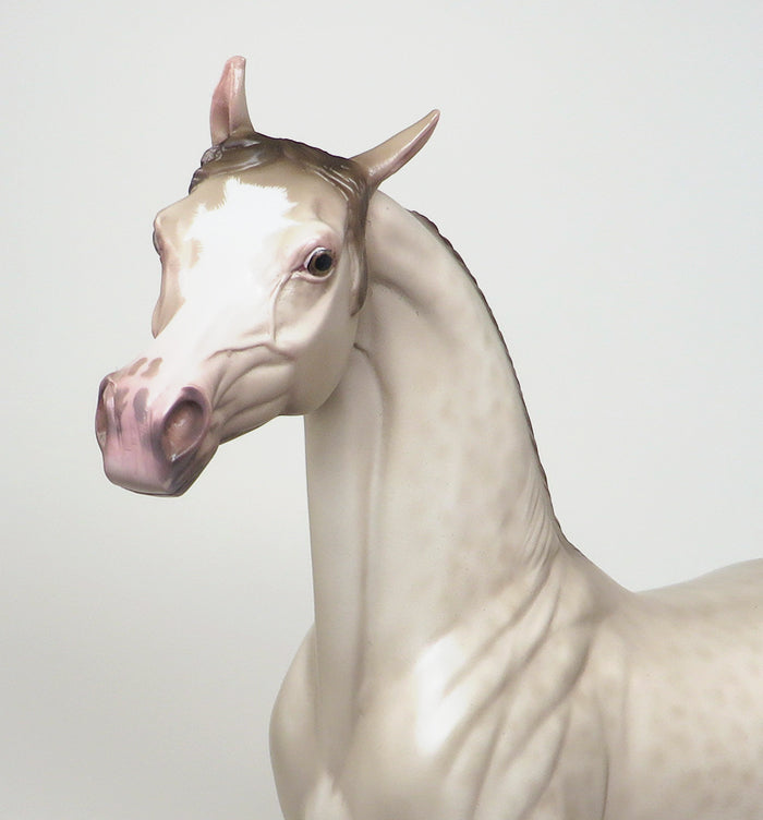 RESURGENCE - OOAK REVERSE DAPPLE CHAMPAGNE ARABIAN MODEL HORSE by SHERYL LEISURE - 1/29