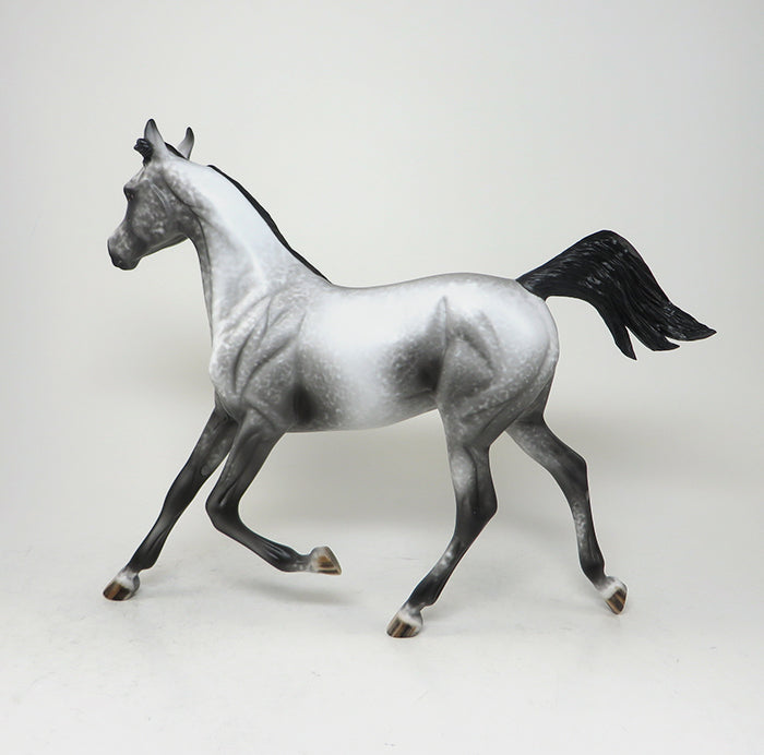 ROGUE ONE - OOAK BLACK LACY APPALOOSA YEARLING MODEL HORSE - 1/29