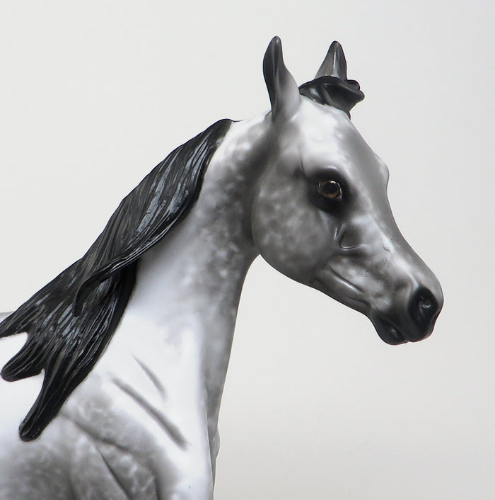 ROGUE ONE - OOAK BLACK LACY APPALOOSA YEARLING MODEL HORSE - 1/29