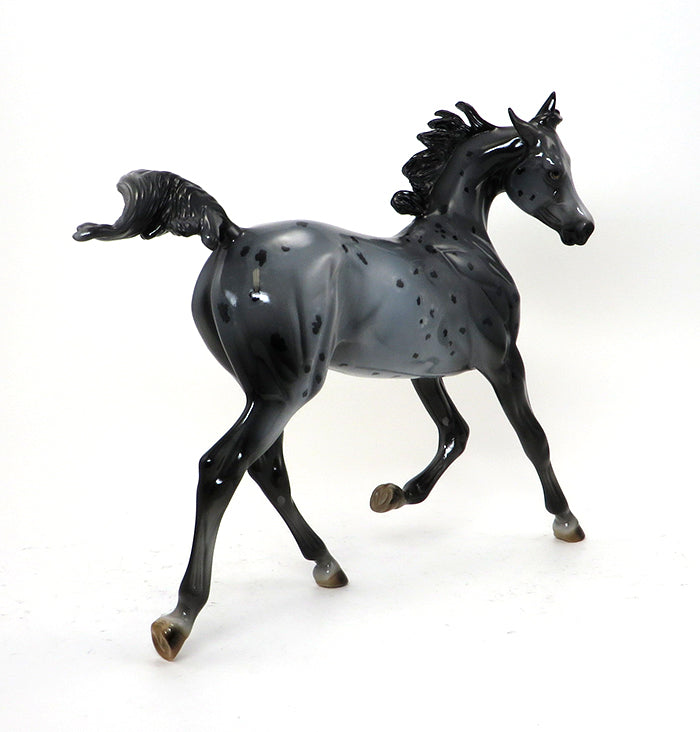 OOAK APPALOOSA YEARLING