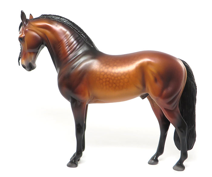 VOGEL-LE-10 DAPPLED BLOOD BAY BRAIDED MANE AND TAIL ANDALUSIAN BY CAROLINE BOYDSTON 7/27