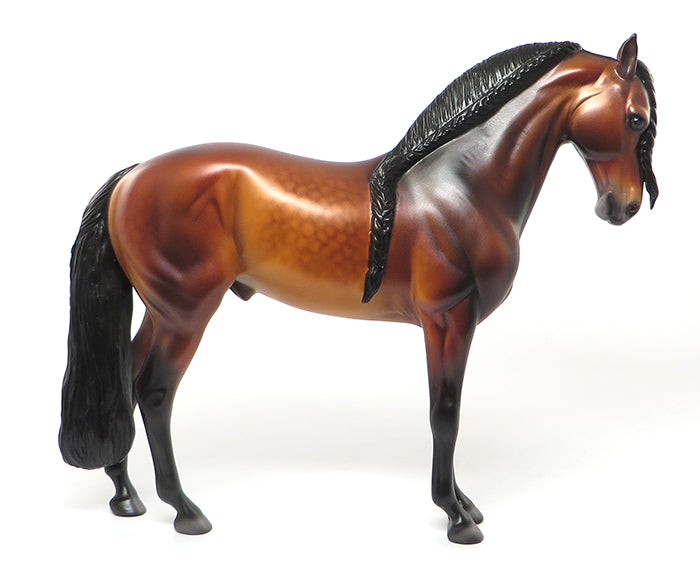 VOGEL-LE-10 DAPPLED BLOOD BAY BRAIDED MANE AND TAIL ANDALUSIAN BY CAROLINE BOYDSTON 7/27