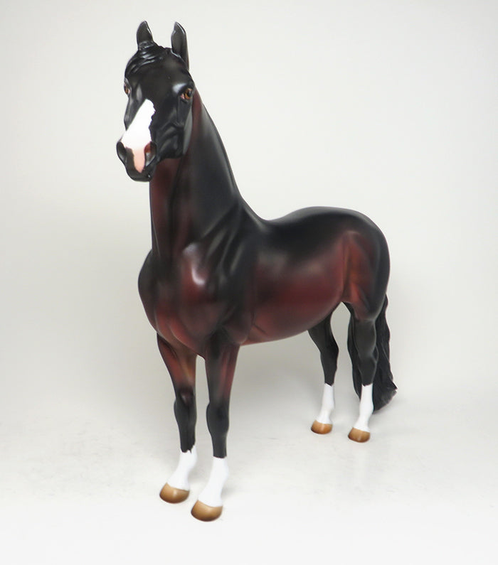 SOMETHING ROYAL - OOAK DARK BAY MORGAN BY KIM BLEECKER - 3/17