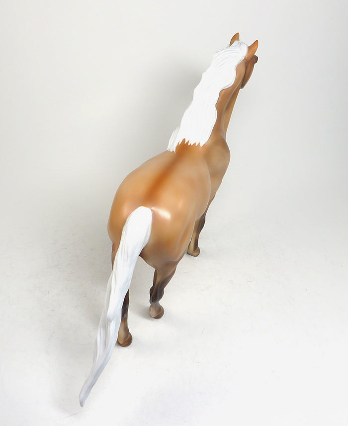 kim bleecker spanish mustang golden hammer