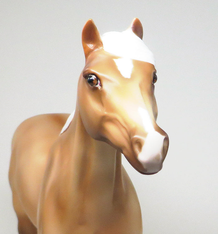 golden hammer mustang