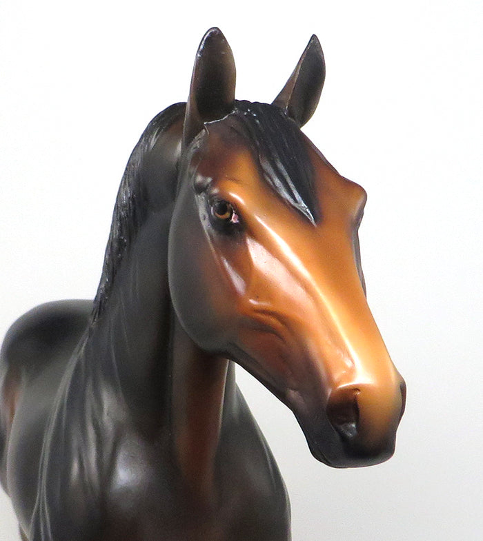 bay drafter by kim bleeker