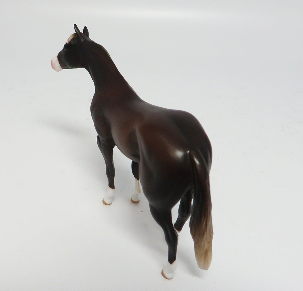 GRADUATION DAY~OOAK DARK DUN CHIP QUARTER HORSE MODEL HORSE 6/8/17