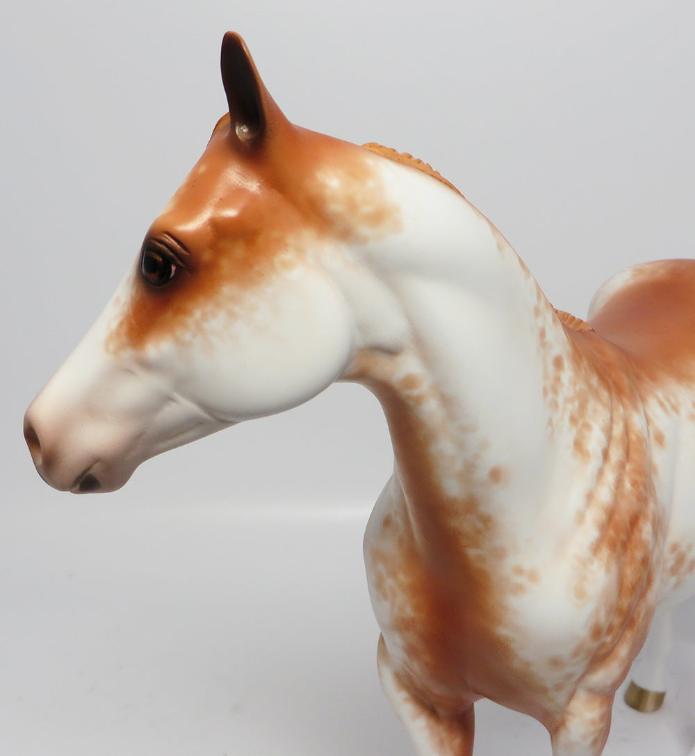 FREEDOM IS GOLDEN~OOAK CHESTNUT SABINO ISH MODEL HORSE