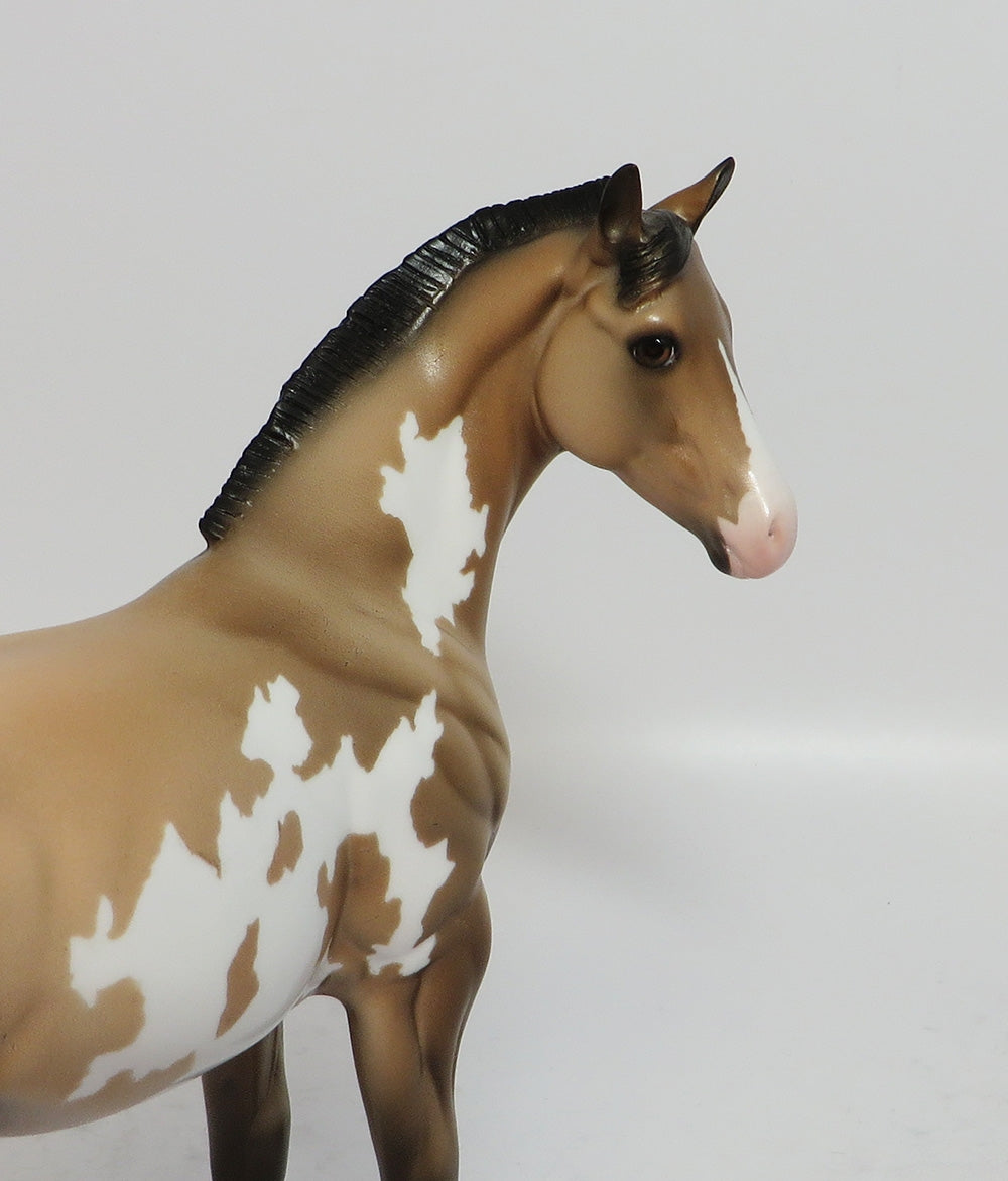 ROCKET-LE-5 BUCKSKIN PAINT WEANLING MODEL HORSE 12/26/17