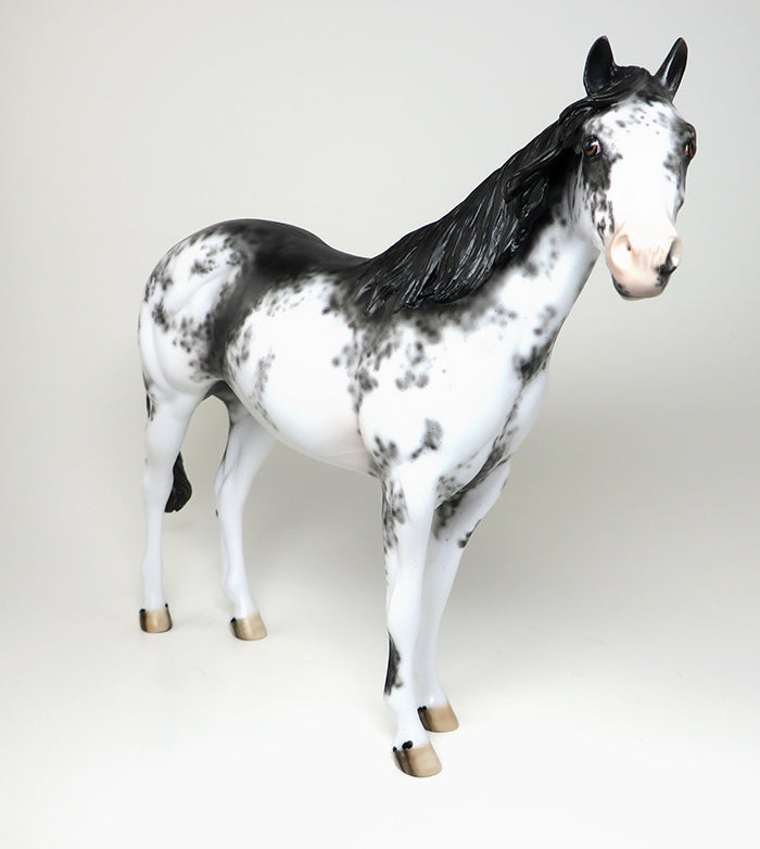 OOAK APPALOOSA ISH