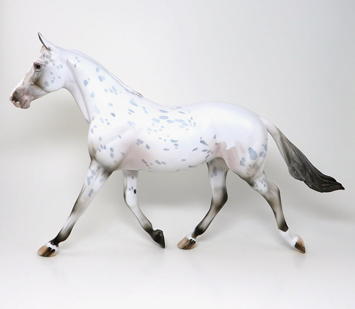 APPALOOSA
