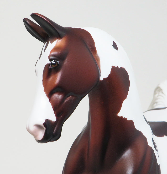 PEBBLES LIMITED EDITION