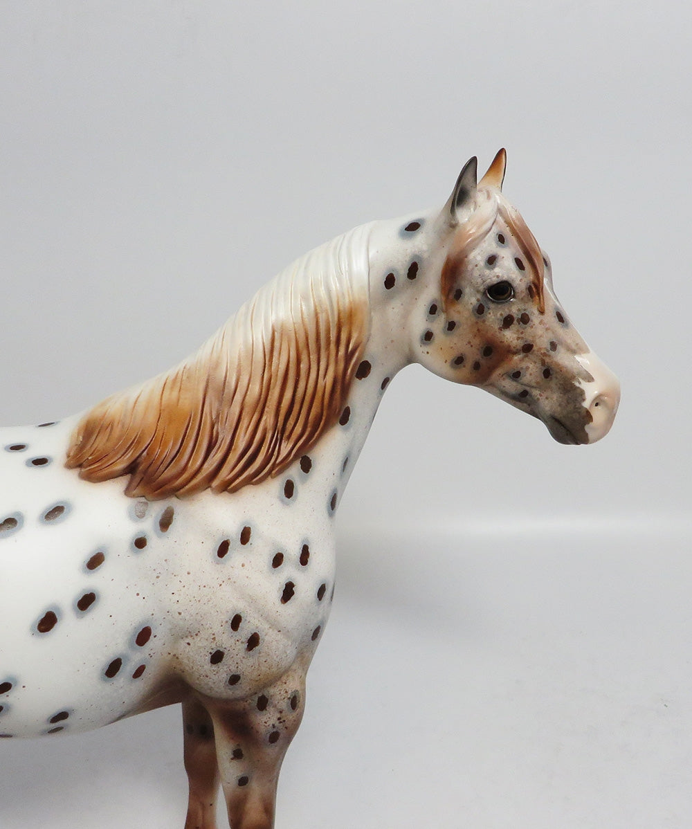 SAWGRASS~OOAK CHESTNUT APPALOOSA ISH MODEL HORSE BY DAWN QUICK 1/3/18