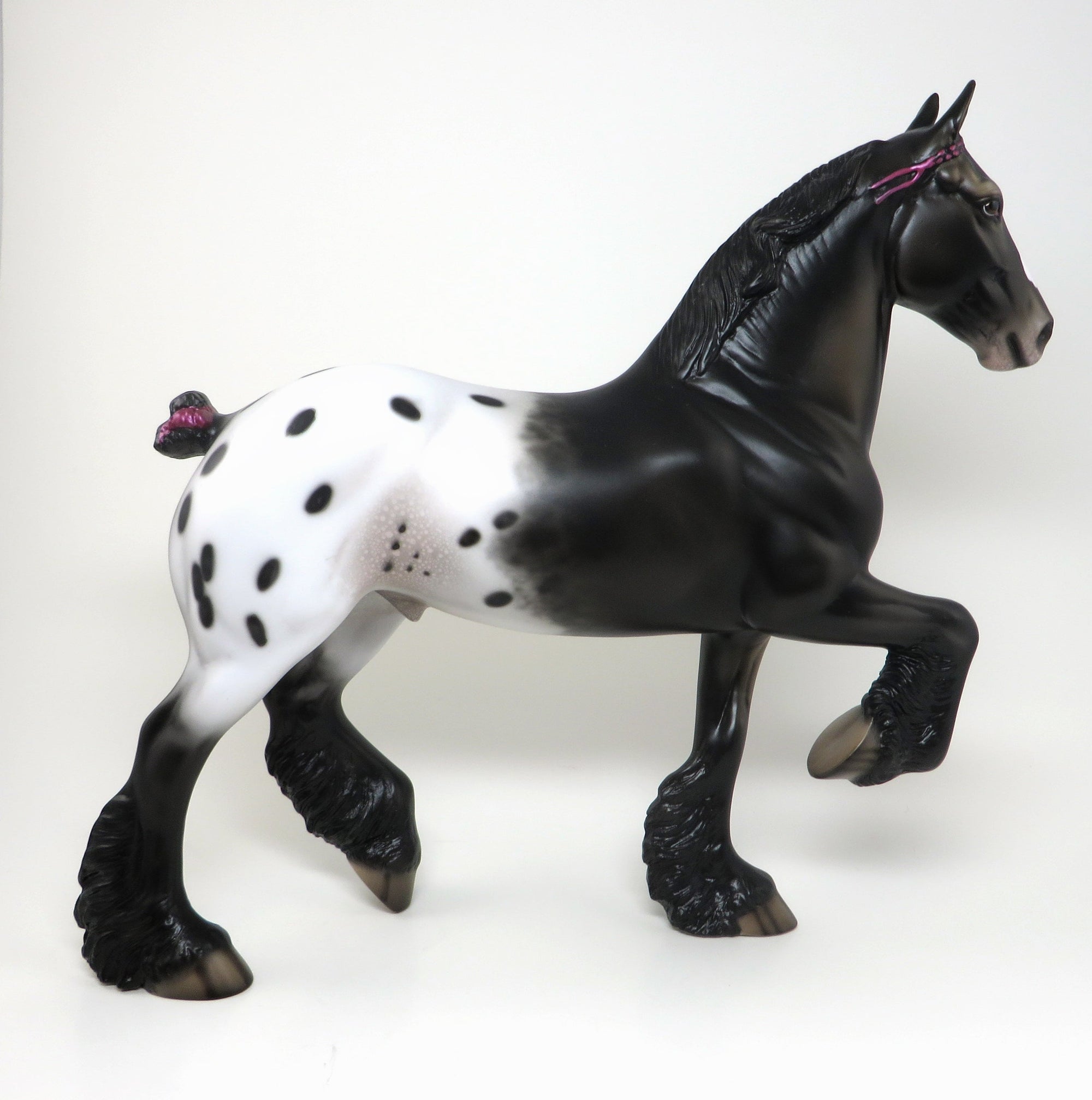 appaloosa trotting drafter