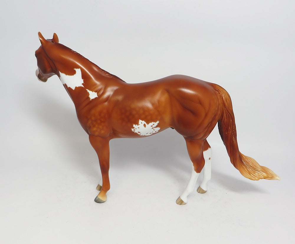 TRUE OPTIMIST-OOAK STAR DAPPLE CHESTNUT OVERO ISH MODEL HORSE BY SHERYL LEISURE 1/5/18
