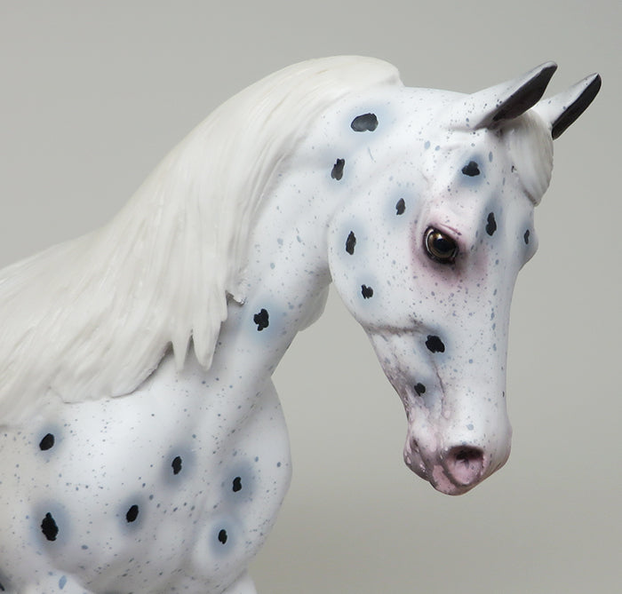 LATE 2 THE PARTY - OOAK APPALOOSA THOROUGHBRED MODEL HORSE - 2/5