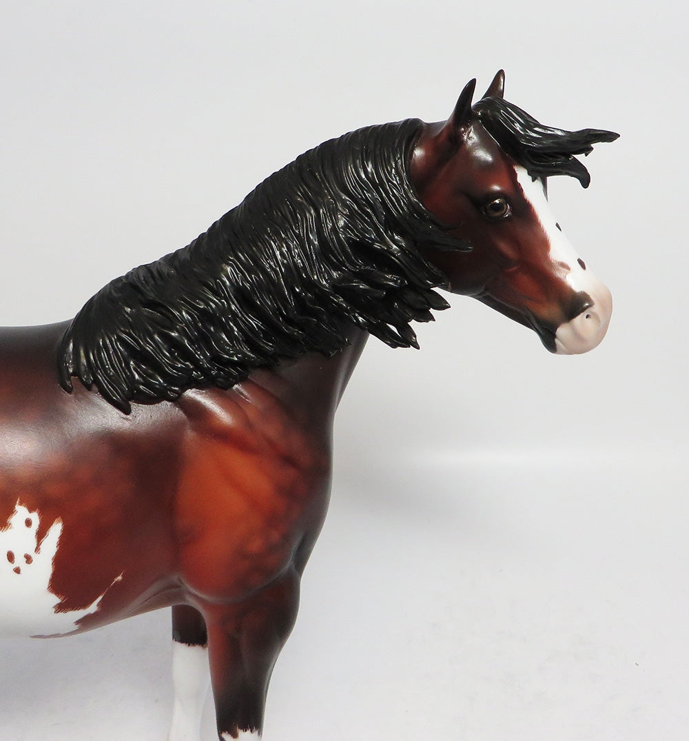 ASPIRE~OOAK STAR DAPPLE ETCHED BAY ISH MODEL HORSE BY SHERYL LEISURE 1/5/18